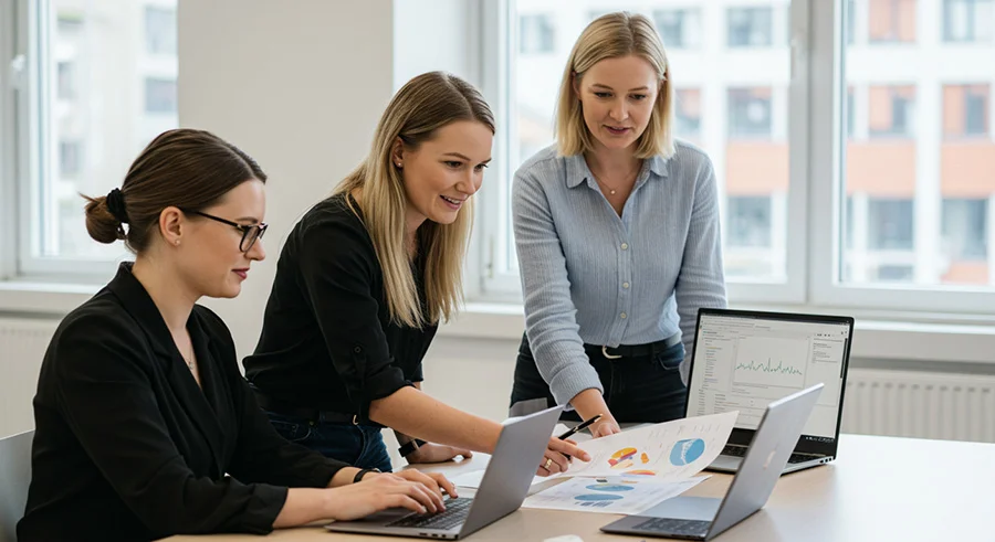 Accounting software compatible with local regulations and SIE (img 4) | FinDsk Accounting Program