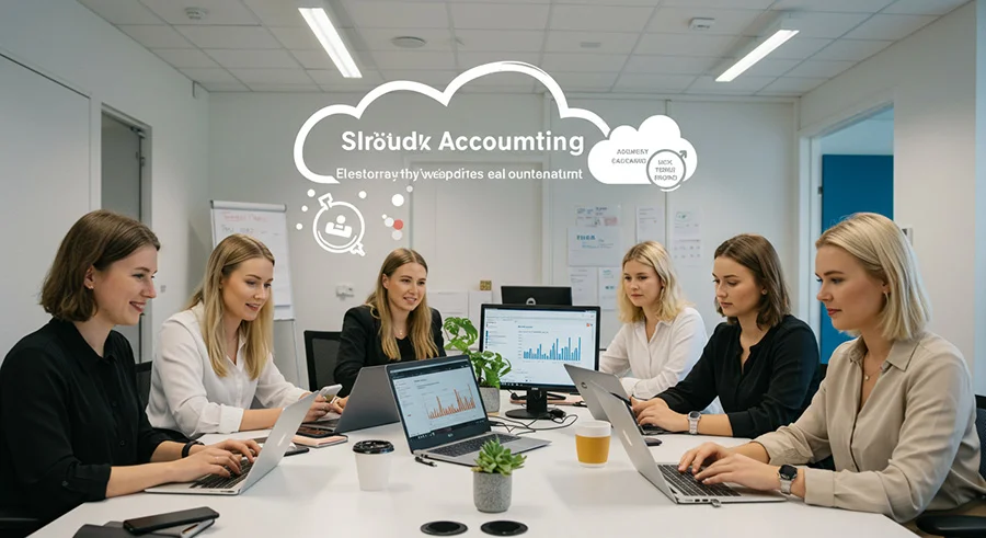 Cloud accounting system - FinDsk Accounting Software (img 4)